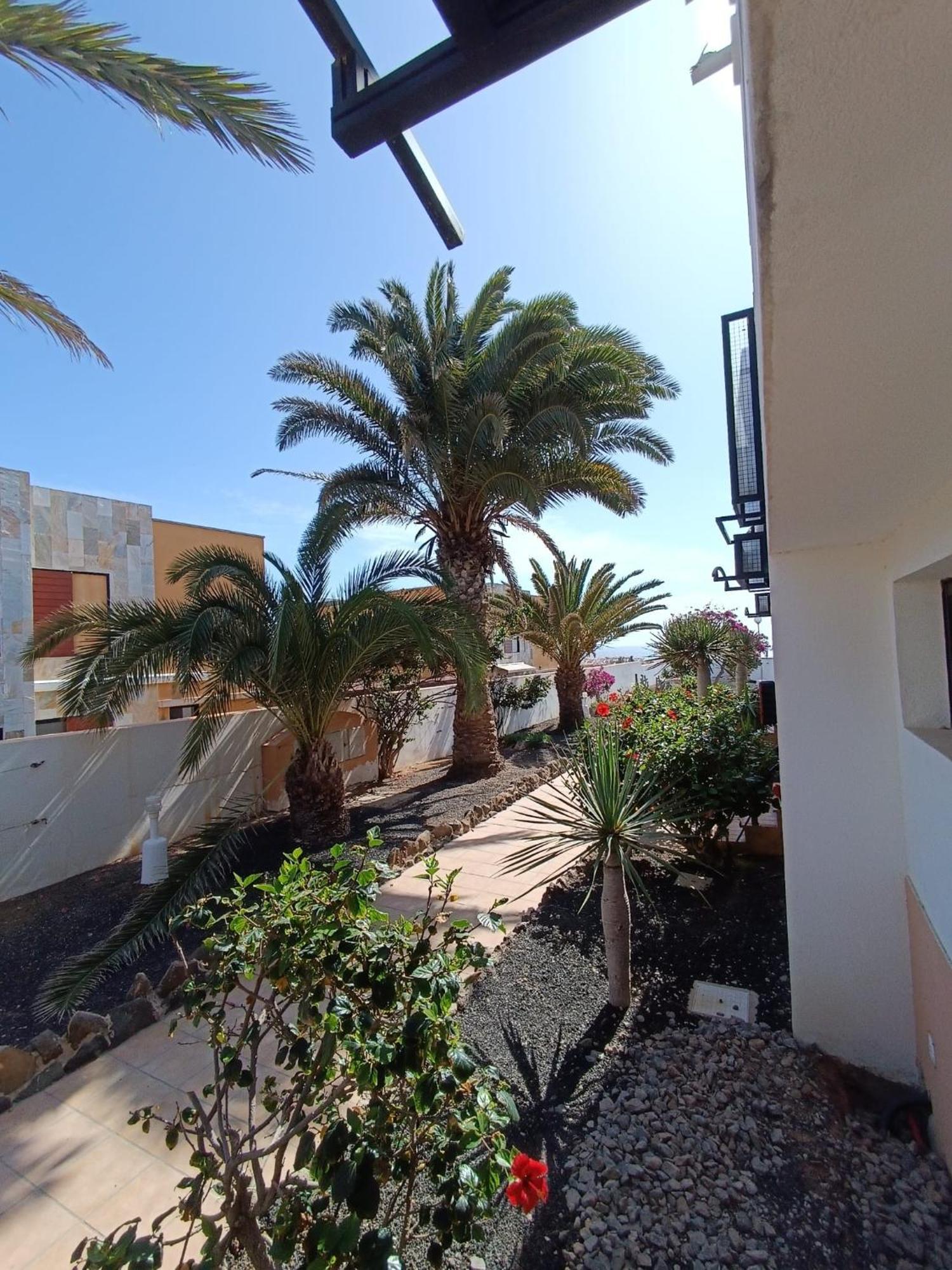Apartamento Reload Complex Amaya Fuerteventura Costa De Antigua Εξωτερικό φωτογραφία